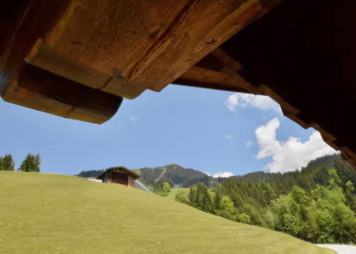 Oberschernthann Hopfgarten im Brixental
